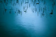 Hugues Willy KREBS - NEREIDES STUDIO