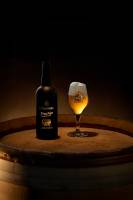 Xavier MARTINO - STUDIO MARTINO