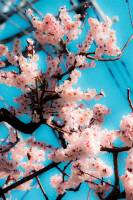 Adrien MOTTE - Adrien MOTTE